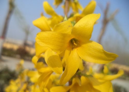 秋季采摘，种子筛选