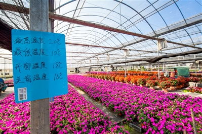 地域养护，因地制宜