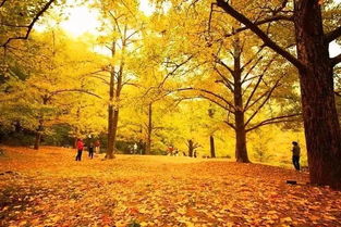 反常识规律，你信了吗？