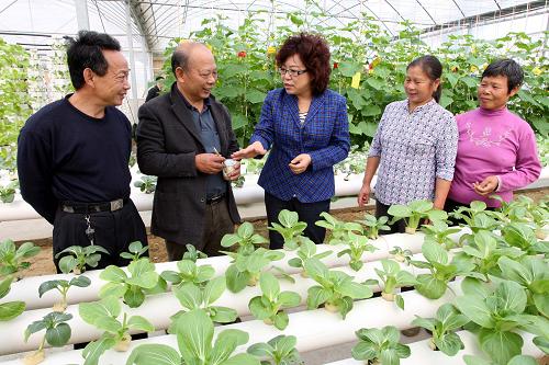 上帕镇举办蚕豆种植培训，旨在提高当地农民种植技能
