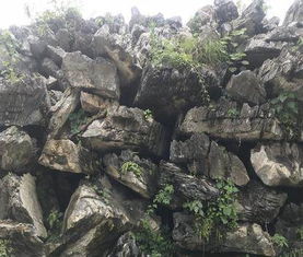 厂家直销， 靠谱吗