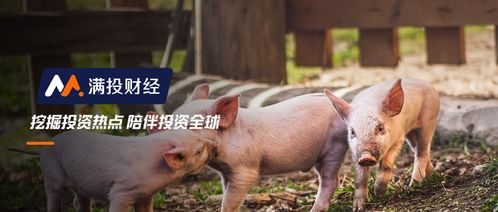 哪种饲喂策略geng优：自由采食还是限饲优化肥猪料肉比？