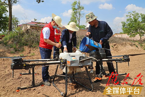 dan是问题也是有的哦！