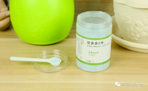 花多多肥料型号详解中，花多多10