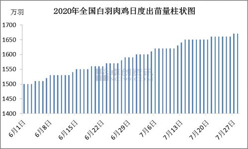 喂肉鸡一只利润多少？需了解成本、市场行情等因素