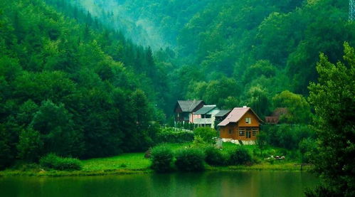 山坡上的风景，美不胜收