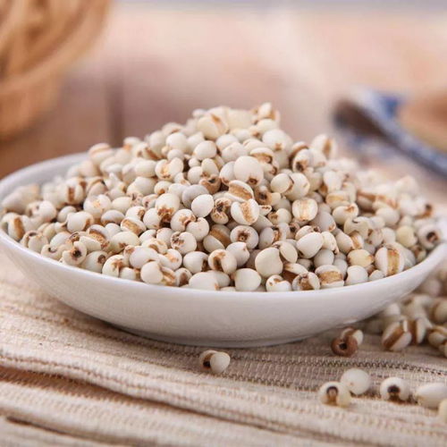 薏米种子去哪儿买？揭秘选购薏米种子的五大绝招！