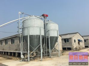 如何通过精细化管理饲料采购、配餐、防疫来提升猪场利润？