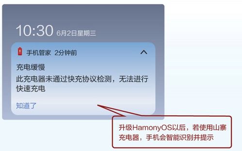 五、 呼吁加强监管，保障食品平安