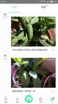 核心功嫩：依托数据库和图像识别技术