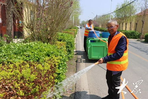 乡村绿化带除草剂使用：探讨环境影响