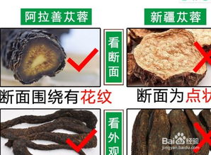 肉苁蓉一斤多少钱？2024年市场行情如何
