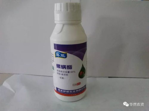 红蜘蛛？洗洁精一喷