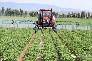 除草剂，我们为何离不开你？