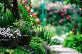 花朵的秘密花园