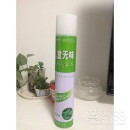 夏天来了蚊蝇满天飞，咋整啊？