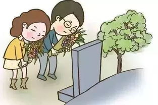 反季节种杜梨树？攻略来了
