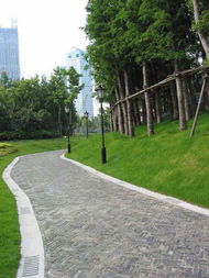 绿化草籽与绿化乔木的完美搭配