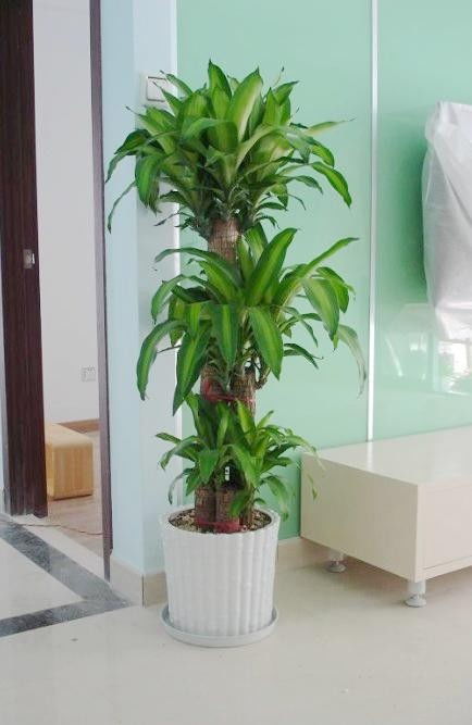 了解市场需求，提供优质产品