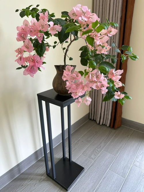 小花盆种植，这些花卉hen棒