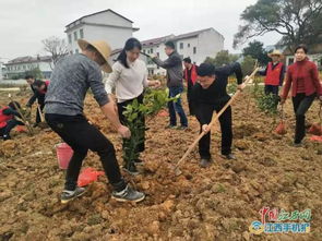 沁州红高粱产业扶贫，助力贫困地区脱贫致富