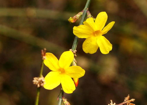 配土要像调鸡尾酒