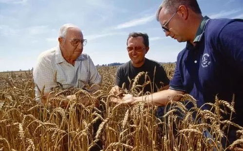 1. 增强作物抗病Neng力