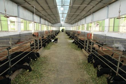 科学饲养，精细管理