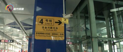 乘坐地铁3号线至斗南站下车，如何抵达斗南花卉市场