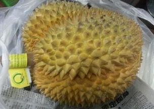 吃榴莲有哪些禁忌？榴莲食用禁忌全解析