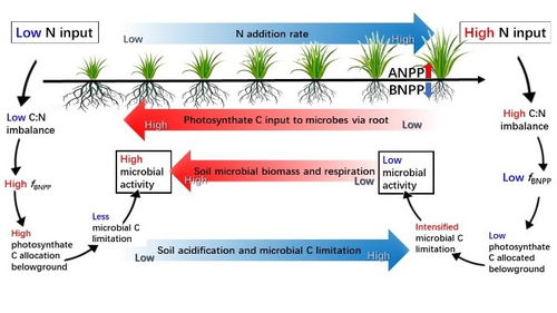实验研究， 揭示真相