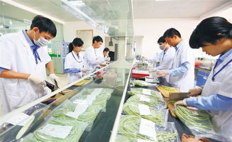 削皮去毛， 细节决定成败