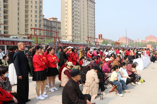 园艺街道办事处：绿意盎然的摇篮