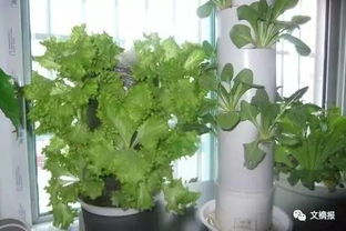 通风：每日换气， 要透透气