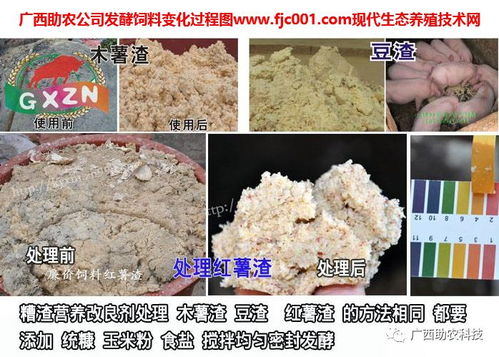 生物发酵饲料配方中，哪些原料和微生物组合能提高饲料发酵效果？