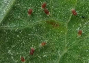 使用方法， 你得知道