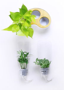 手残党必备三件套：草籽发芽的关键