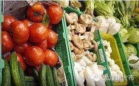 湛江：冬季蔬菜供应基地