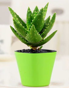 杀菌消毒， 方法多样