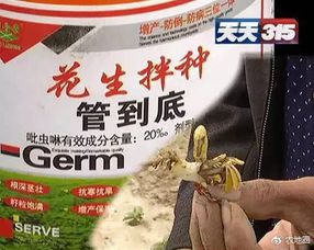 菊脂类农药对花生拌种的影响与平安性探讨