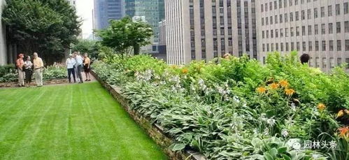 本地特色品种：打造自己的园艺奇迹