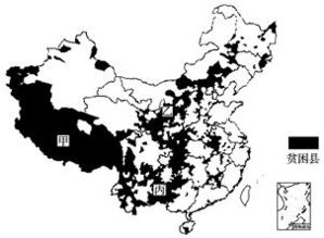 龙脑樟树适合在哪些气候和土壤条件下种植