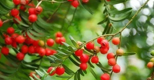 准备阶段要Zuo的3件事：