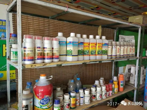 土壤处理， 也要讲究方法