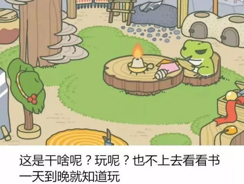 在家养青蛙需要考虑哪些因素？
