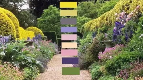 揭秘花卉养护技巧：黄鳝加工秘籍，轻松打造完美花境！