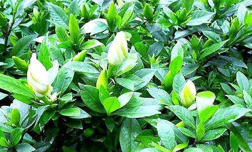 兑水的时候，要注意啥？