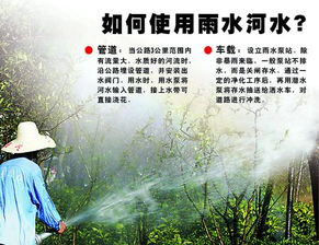 河水浇花和雨水浇花，哪种geng适合植物生长？