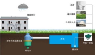 揭秘农业三大水循环：高效灌溉、雨水收集与节水技术！