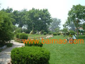 房地产项目缩减， 需求下降